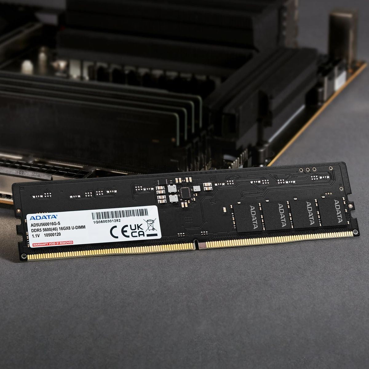 ADATA Premier AD5U560016G-B 16GB DDR5 5600 Desktop RAM