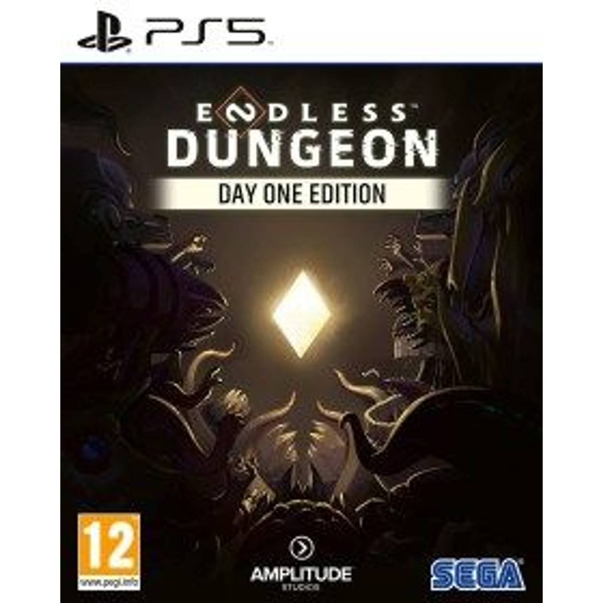 Endless Dungeon (PS5)