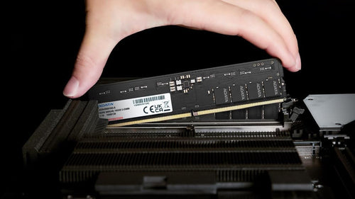 ADATA Premier AD5U560016G-B 16GB DDR5 5600 Desktop RAM